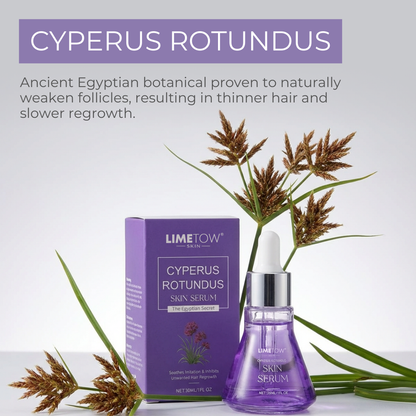Cyperus Rotundus Skin Serum
