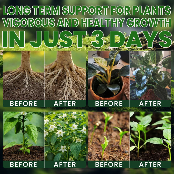 Official US Store LIMETOW® Supplement Powder for Rapid Root Growth and Strong Seedlings