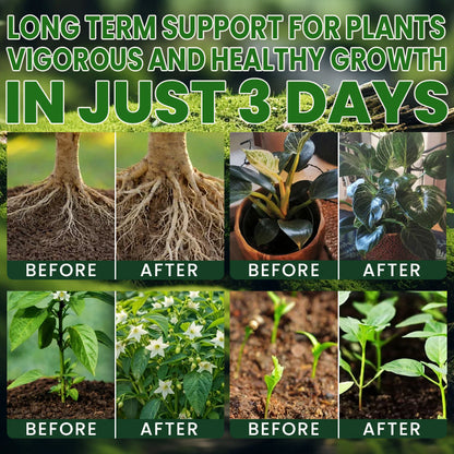 Official US Store LIMETOW® Supplement Powder for Rapid Root Growth and Strong Seedlings