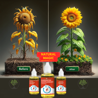 PLANT GROWTH ENHANCER SUPPLEMENT
