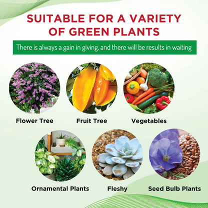 PLANT GROWTH ENHANCER SUPPLEMENT
