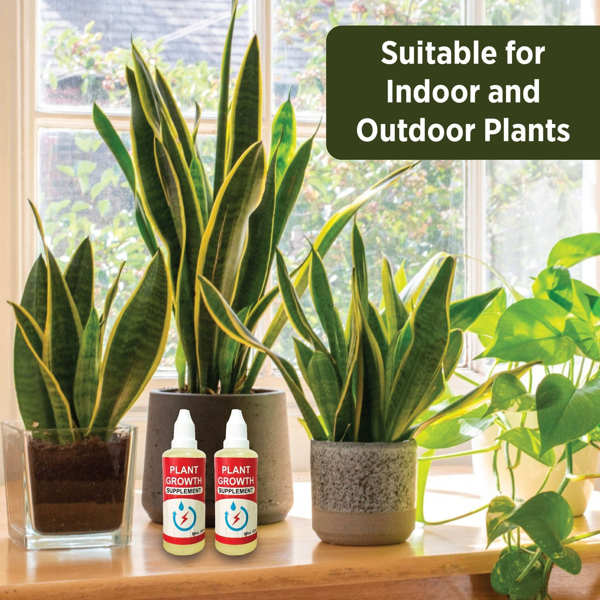 PLANT GROWTH ENHANCER SUPPLEMENT