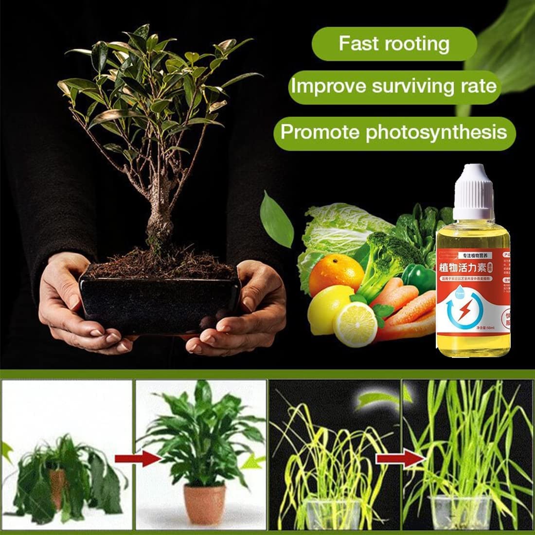 PLANT GROWTH ENHANCER SUPPLEMENT
