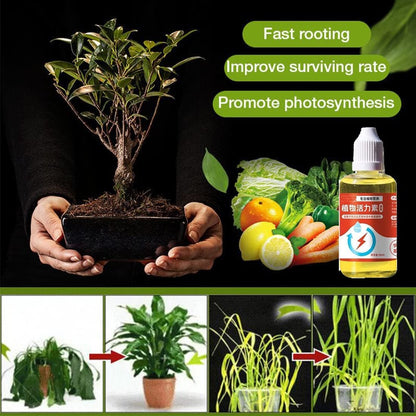 PLANT GROWTH ENHANCER SUPPLEMENT