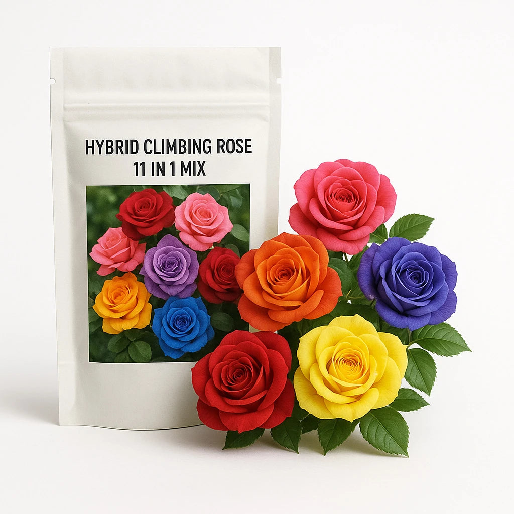 200 Roses Seeds