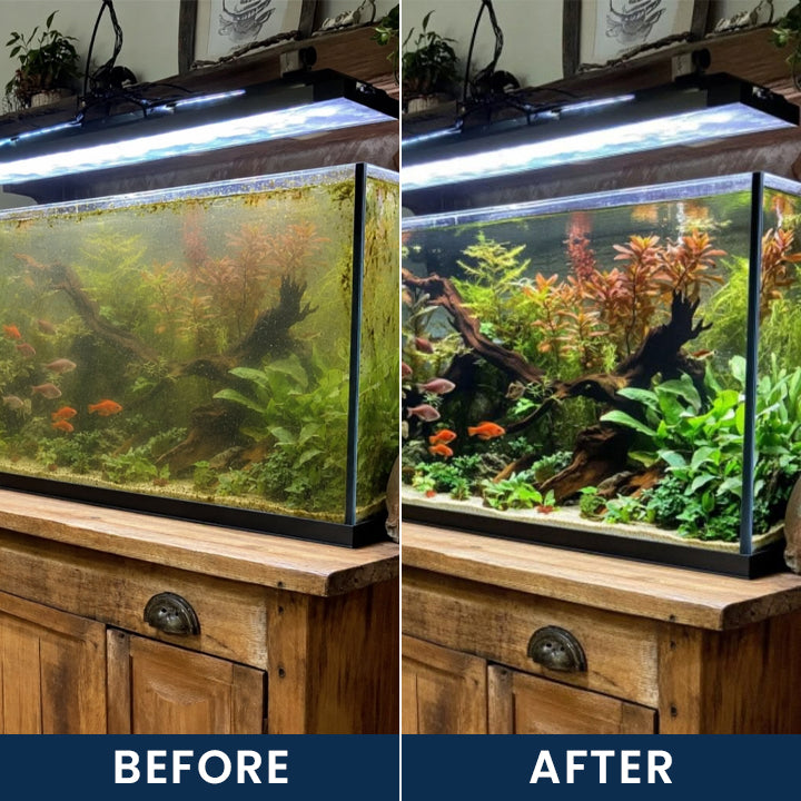 LIMETOW® FISH TANK CLEANING TABLETS