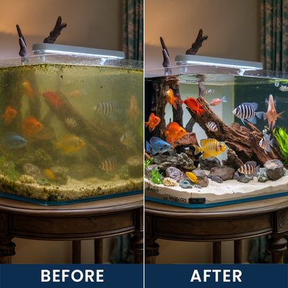 LIMETOW® FISH TANK CLEANING TABLETS