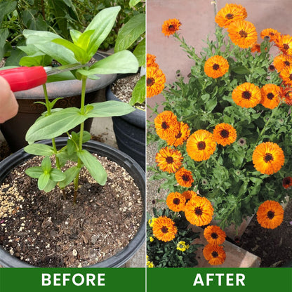 LIMETOW® SOIL ACTIVATOR